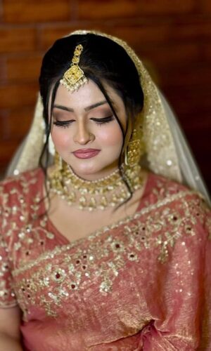 ইন্ডিয়ান জিমিচু শাড়ি সাথে রেডি ব্লাউজ - Image 4